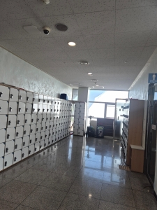 20260929_083547.jpg