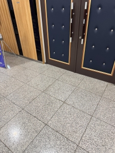 IMG_2418.jpeg