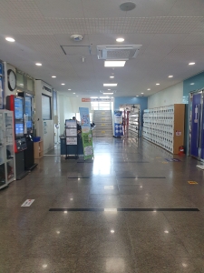 20260826_110256.jpg