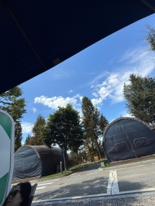 IMG_9466.jpeg