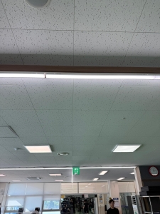 IMG_4115.jpeg