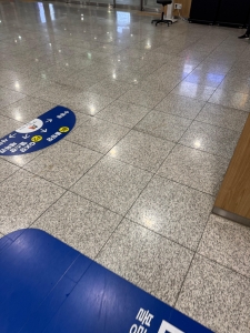 IMG_2247.jpeg