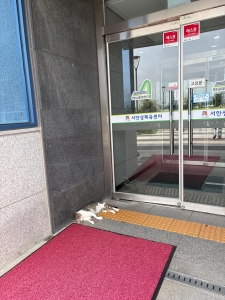 IMG_6762.jpeg