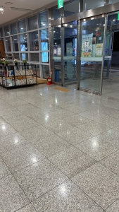 IMG_7337.jpeg